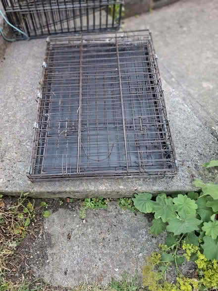 Photo of free Dog cage (medium) (Odd Down BA2) #1