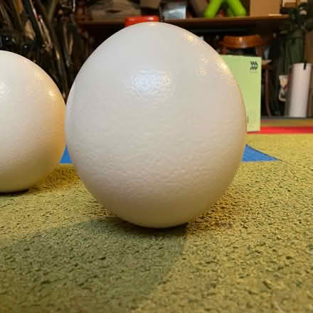 Photo of free Decorative ostrich eggs (pair) (North Berkeley) #2