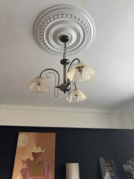 Photo of free Ceiling light (Bramcote, NG9) #2