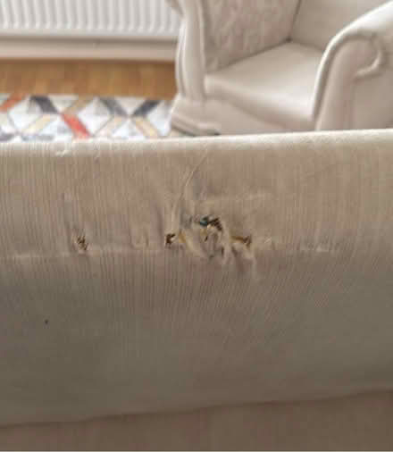 Photo of free Sofa and chair set (Nuneaton CV11) #3