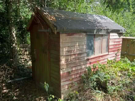 Photo of free Shed (Tunbridge wells TN4) #1