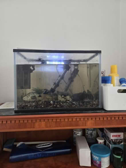 Photo of free Fish tank with one lovely fish 🐟 (marston oxford) #1