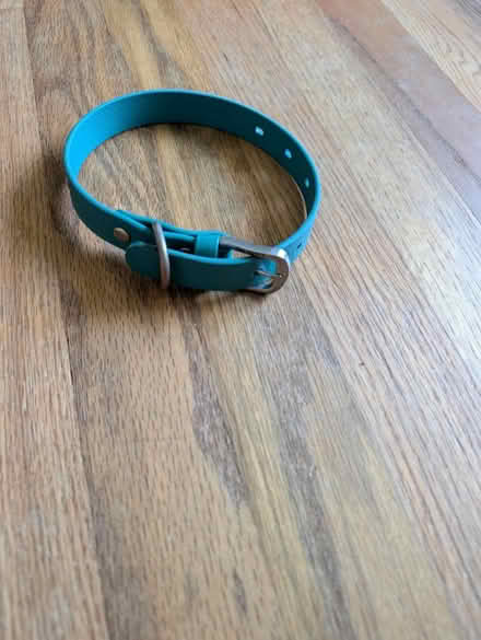 Photo of free Small dog collar (Ellicott City, MD) #1