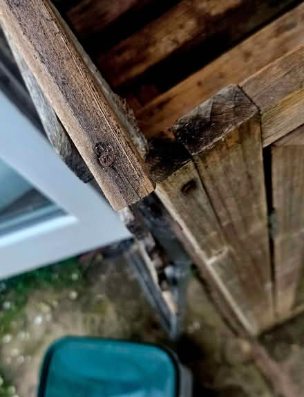 Photo of free small Aldi greenhouse (Ringmer BN8) #2