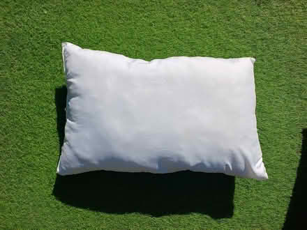 Photo of free Camping pillow (Bruntsfield EH10) #1