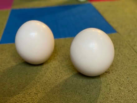 Photo of free Decorative ostrich eggs (pair) (North Berkeley) #1