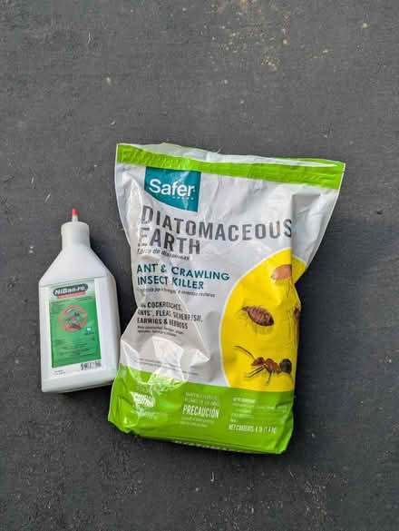 Photo of free Powders for fighting insects (Eastchester, NY) #1