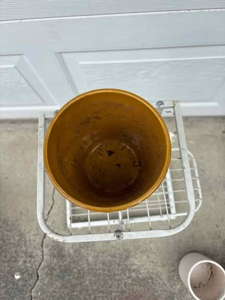Photo of free Yellow ceramic pot (Korea Town) #2