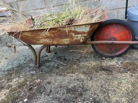 Photo of free Vintage wheelbarrow planter (Southborough TN4) #1