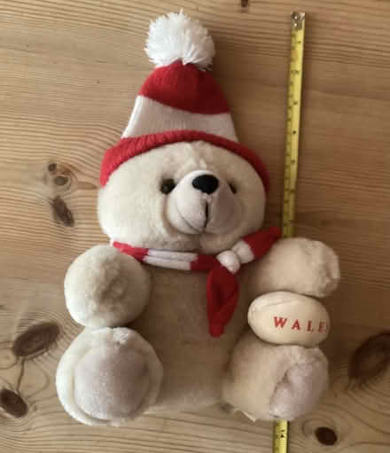 Photo of free Welsh rugby teddy bear (Southsea) #1
