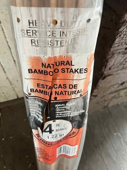 Photo of free Bamboo sticks (Greenwood) #1