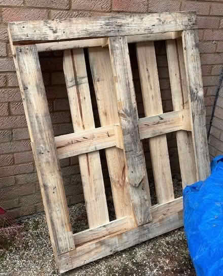 Photo of free Pallet (used condition) (Downs Barn MK14) #1