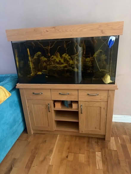 Photo of free Fish tank. Tropical (Hollingdean BN1) #1