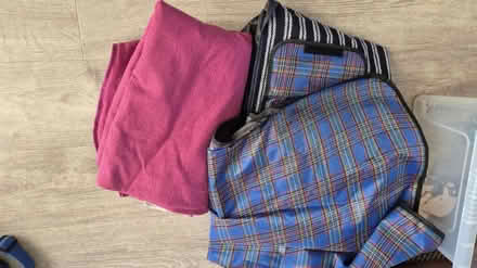 Photo of free 3x Picnic mats (Downham BR1) #1