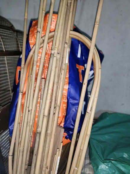 Photo of free Bamboo Long, straight & arched (PR9 0EA) #2