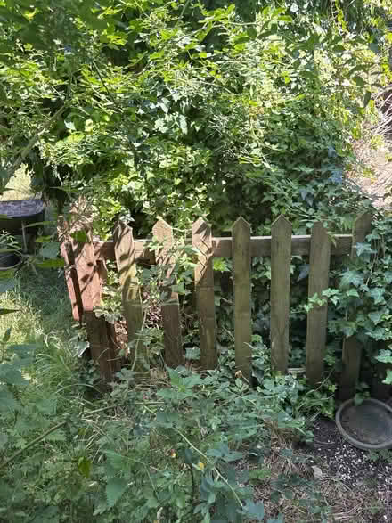 Photo of free Garden fence (Loughton IG10) #3