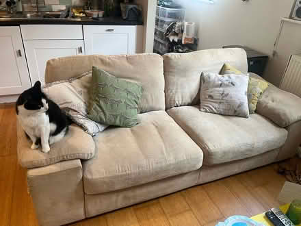 Photo of free 3 seater sofa (Watford WD3) #1
