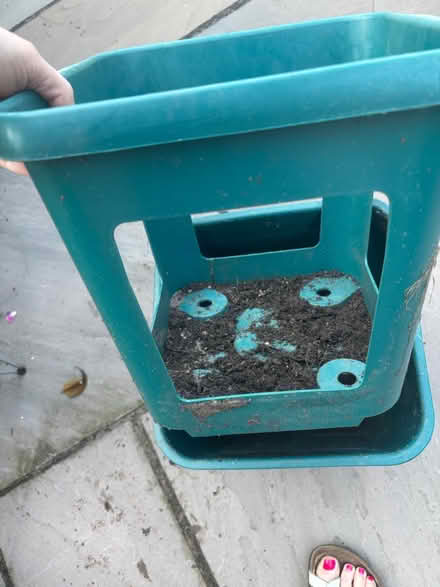 Photo of free Potato growing tub (Cowie FK7 7) #2