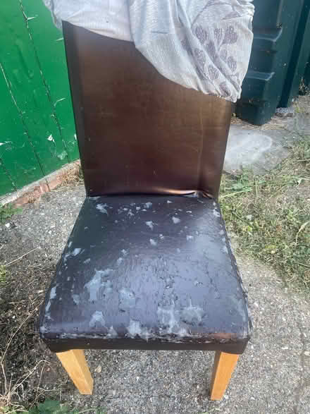 Photo of free 6 dining chairs (Newton PE13) #2