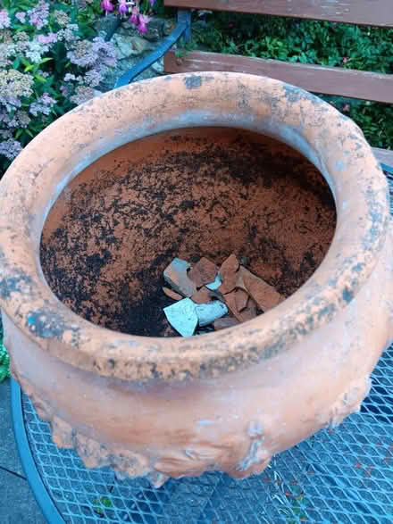Photo of free Terracotta planter (Rathmines/Ranelagh) #2