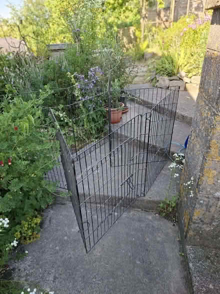 Photo of free Puppy / dog playpen (Odd Down BA2) #2