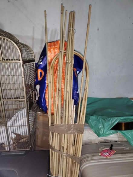 Photo of free Bamboo Long, straight & arched (PR9 0EA) #1