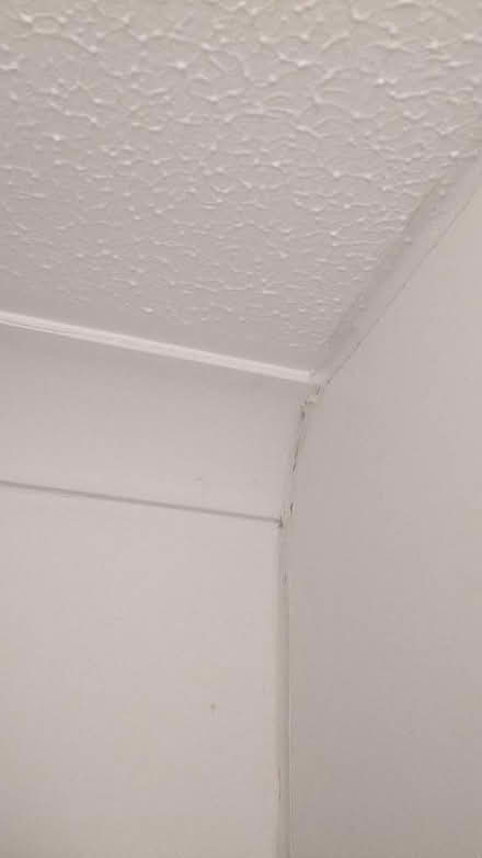 Photo of free Built in cupboard with sliding mirrored doors. (East Lavant PO19) #2