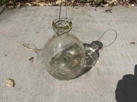 Photo of free Glass yellowjacket trap (West End San Rafael) #1