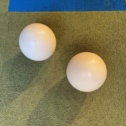 Photo of free Decorative ostrich eggs (pair) (North Berkeley) #3
