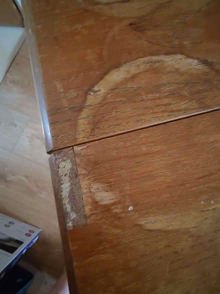Photo of free Gateleg folding table (King's Hedges Ward CB4) #3