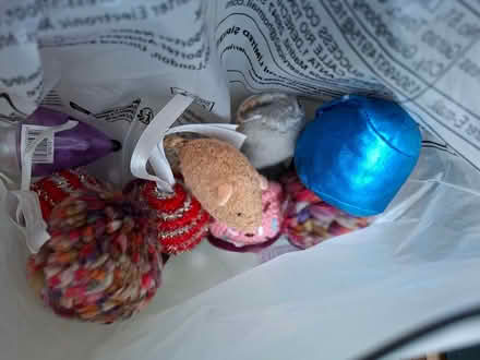 Photo of free Bag of cat toys, Old Woking (Woking, GU22) #1