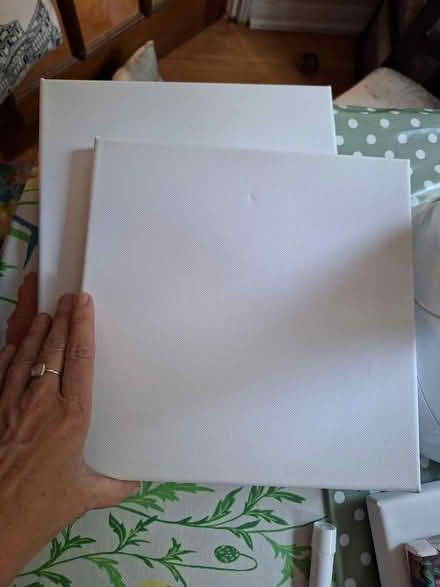Photo of free Small canvases, Old Woking (Woking, GU22) #1