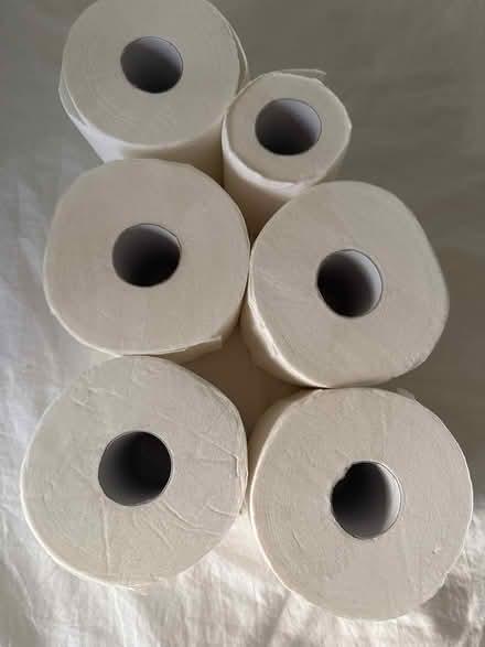 Photo of free Toilet paper (Harlesden NW10) #1