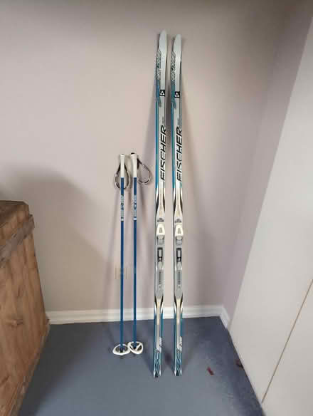 Photo of free Cross Country Skis (Glebe) #1