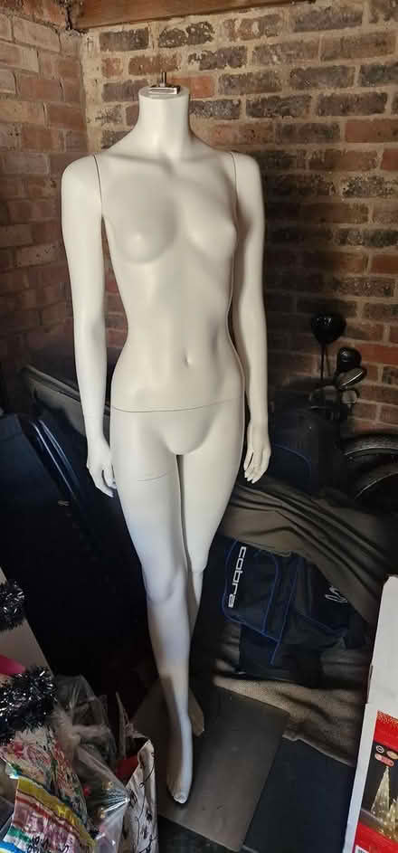 Photo of free Mannequin (Royston SG8) #1