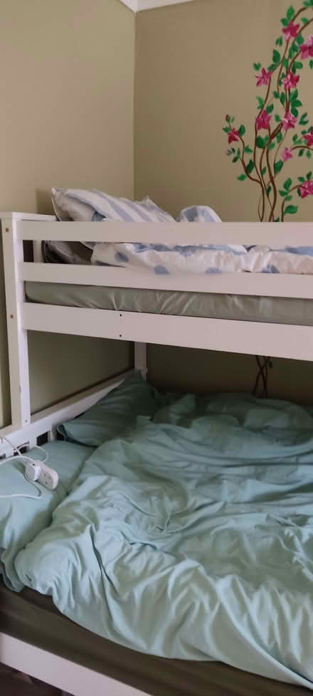 Photo of free White bunkie bed (Shap CA10) #2