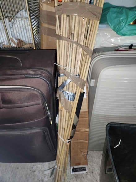 Photo of free Bamboo Long, straight & arched (PR9 0EA) #3