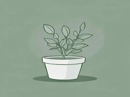 Photo of Plant pot saucers (Barrow-upon-Humber DN19) #1
