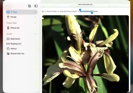 Photo of free iris plants (Crowthorne RG45) #1
