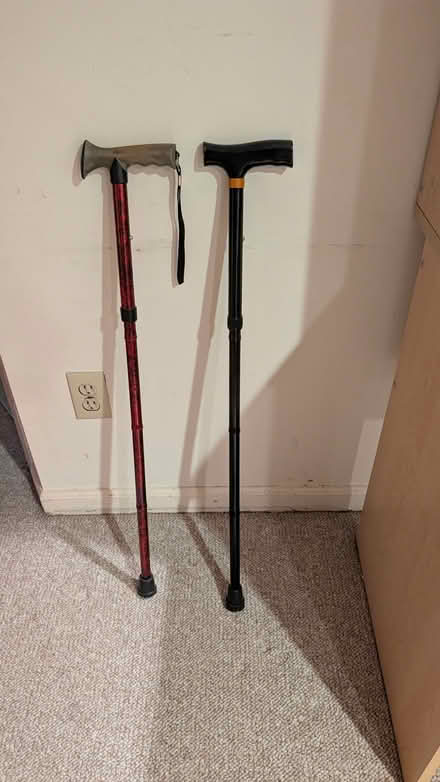 Photo of free Canes (Teaneck, NJ) #1