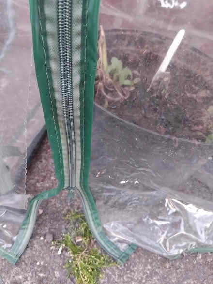 Photo of free Tomato.huse (Middleton M24) #2