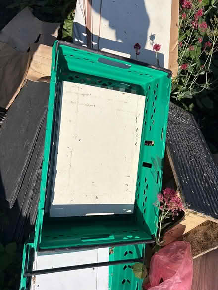 Photo of free Tiles (Dublin4) #1