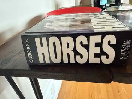 Photo of free Little horse book (Piedmont) #1
