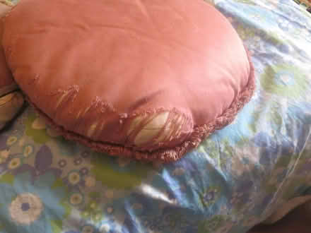 Photo of free Round embroidered cushions x2 (Springbourne BH1) #4