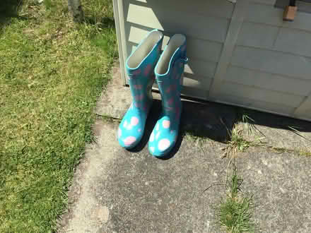 Photo of free Decorating stuff (Fintry DD4) #1