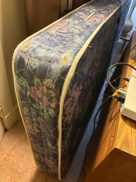 Photo of free Twin mattresses (Highland Park) #1