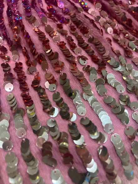 Photo of free Pretty sequin skirt from monsoon, age 5 approx (Hampton Hill TW11) #2
