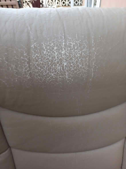 Photo of free Extra Large Swivel Reclining Chair (Kingsteignton area of N.Abbot) #3