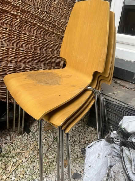Photo of free Dining chairs (Torquay TQ2) #1