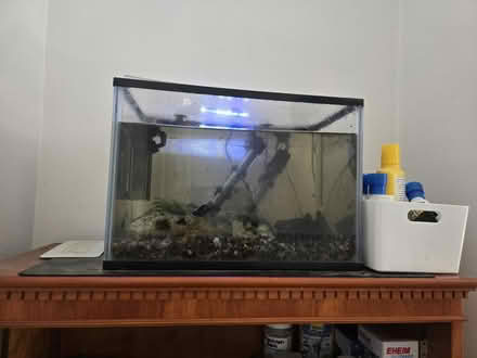 Photo of free Fish tank with one fish 🐟 (marston oxford) #1